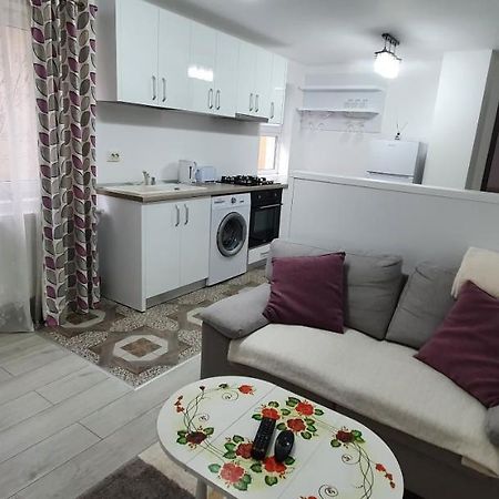 Nehoiu Apartament Διαμέρισμα Εξωτερικό φωτογραφία