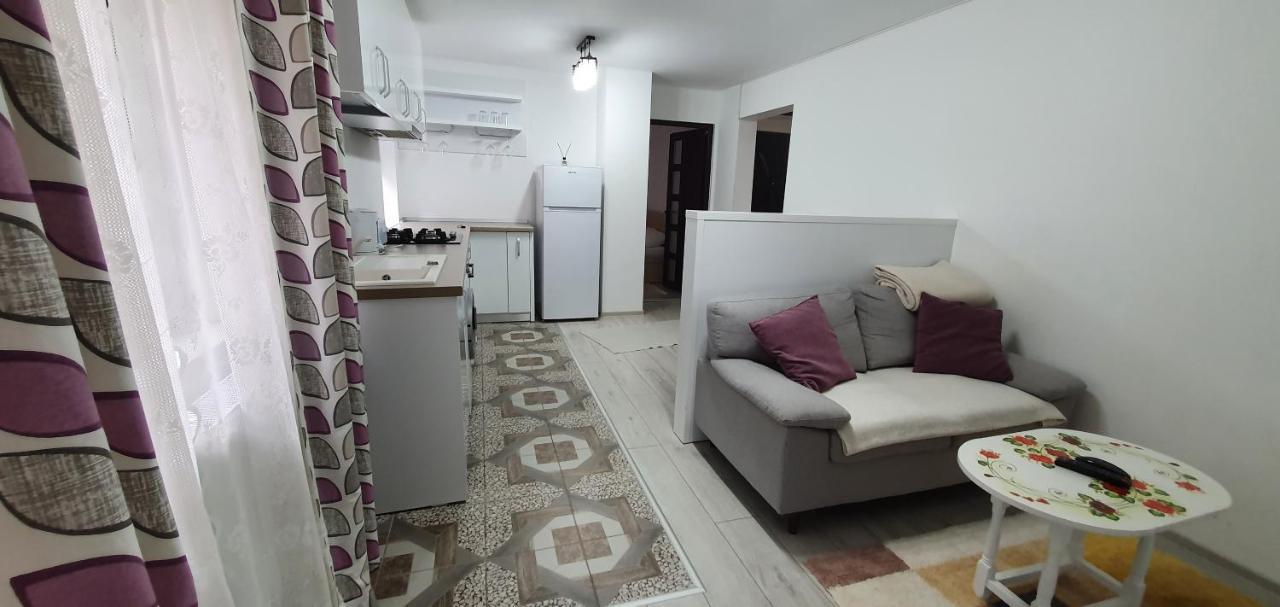 Nehoiu Apartament Διαμέρισμα Εξωτερικό φωτογραφία