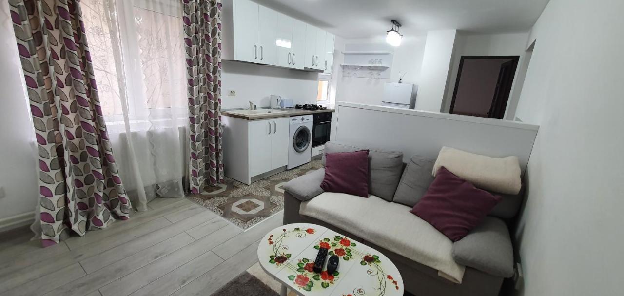 Nehoiu Apartament Διαμέρισμα Εξωτερικό φωτογραφία