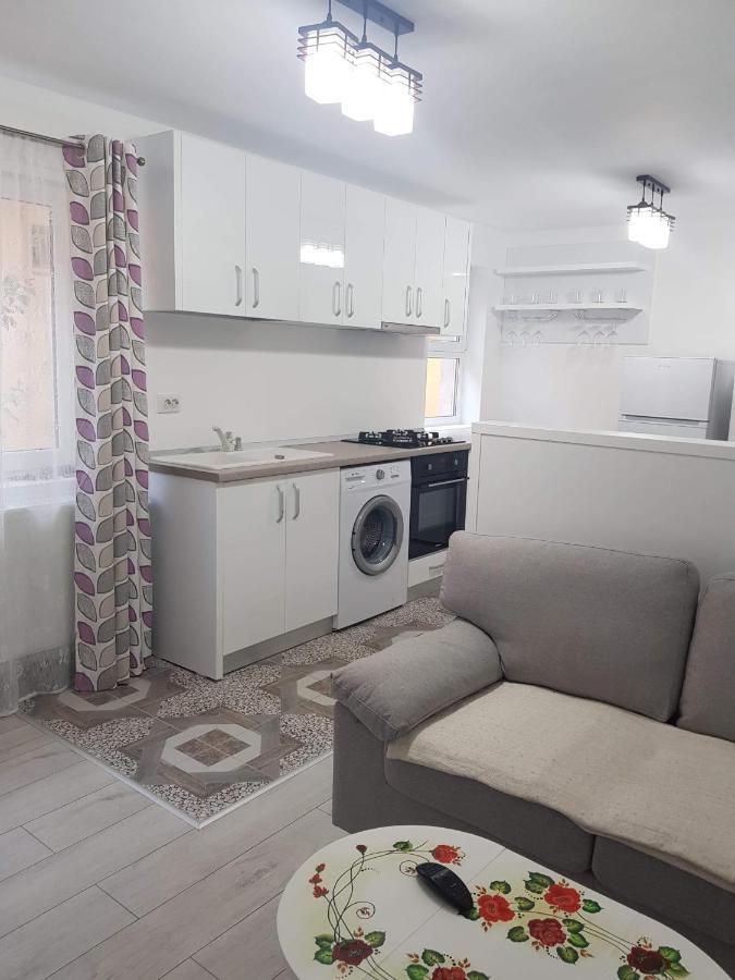 Nehoiu Apartament Διαμέρισμα Εξωτερικό φωτογραφία